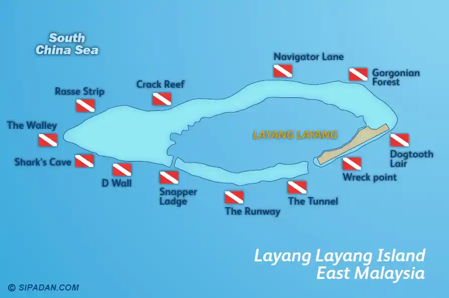 Plan your deep-water adventures with this dive map. Illustrated dive site map of Layang Layang Island, showing famous locations like D Wall, Gorgonian Forest, and Shark's Cave for adventurous scuba divers.