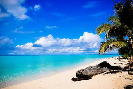 Pristine white sand beach and crystal-clear turquoise water on Sangalaki Island in East Kalimantan, a picture-perfect private island paradise.