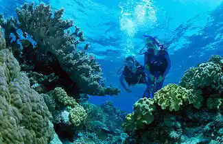 Two scuba divers exploring the vibrant coral walls and marine life on a dive trip with Seaventures Dive Rig, near Mabul and Sipadan.