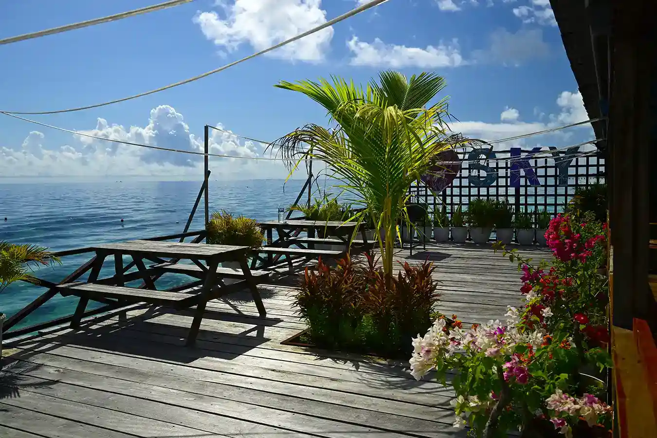 Sunny communal sundeck at Sky Water Villas, with picnic tables and lush potted plants for guests to relax and enjoy the ocean view.