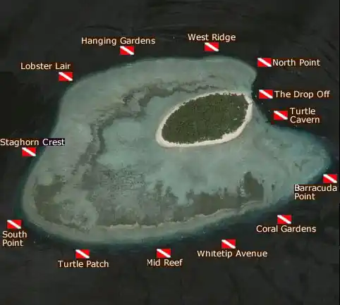 Discover Sipadan's legendary dive sites with this map. Sipadan island dive map laid over a satellite image, showing the locations of legendary dive sites like Barracuda Point, Turtle Cavern, and South Point.